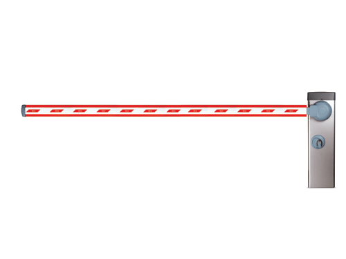 Signo 7